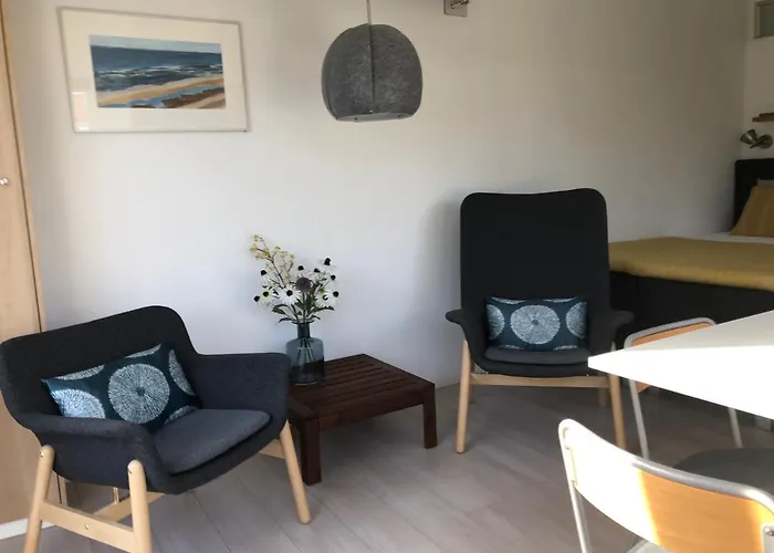 Pensionat De Zwarte Ruiter 4*