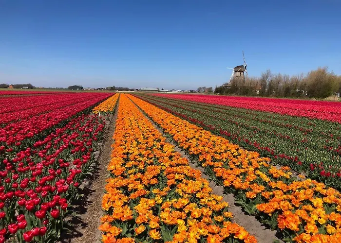 De Zwarte Ruiter 4* Callantsoog