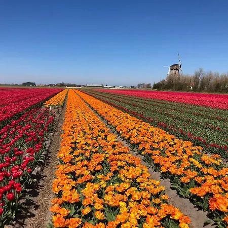 De Zwarte Ruiter 4* كالانتسوج